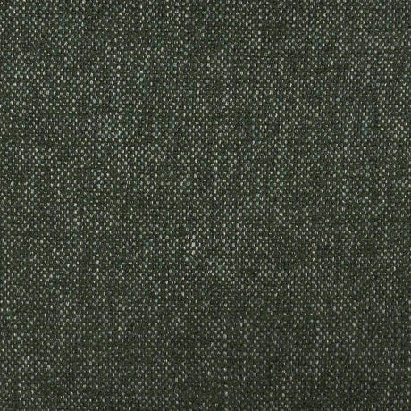 Tiara Performance Basketweave Fabric Dining Chair by TOV Furniture at Eve Furniture