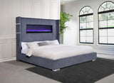 Tisdall Gray 67-inch Upholstered Eastern King Fireplace Bed by Coaster at Eve Furniture
