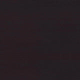 Tracy Cappuccino 2-Drawer Computer Desk by Coaster at Eve Furniture