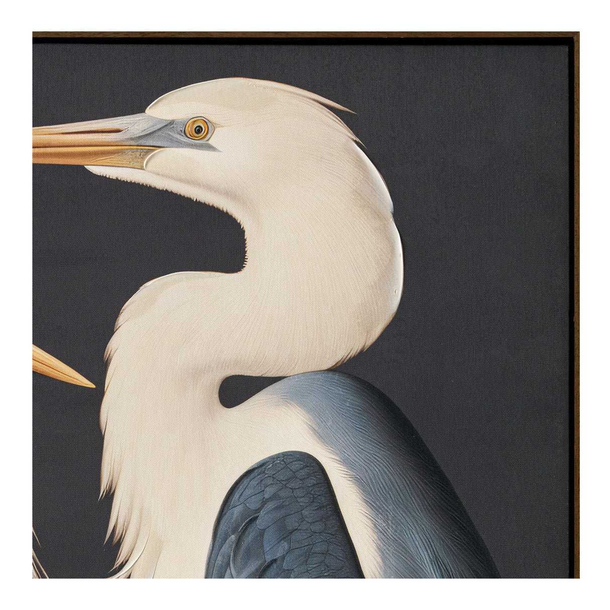 Two Multicolor Cranes Framed Painting by Moe's Home at Eve Furniture