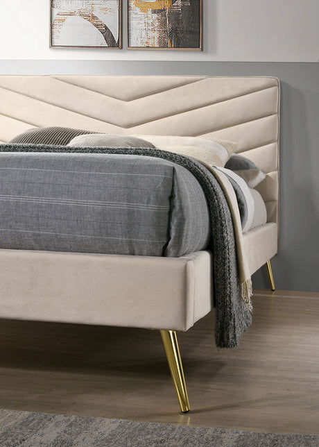 Vivar Beige Twin Upholstered Bed by Furniture of America at Eve Furniture