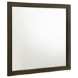 Wilkes Dark Cocoa Dresser Mirror by Coaster at Eve Furniture