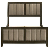 Wilkes Dark Cocoa Upholstered Full Bed by Coaster at Eve Furniture
