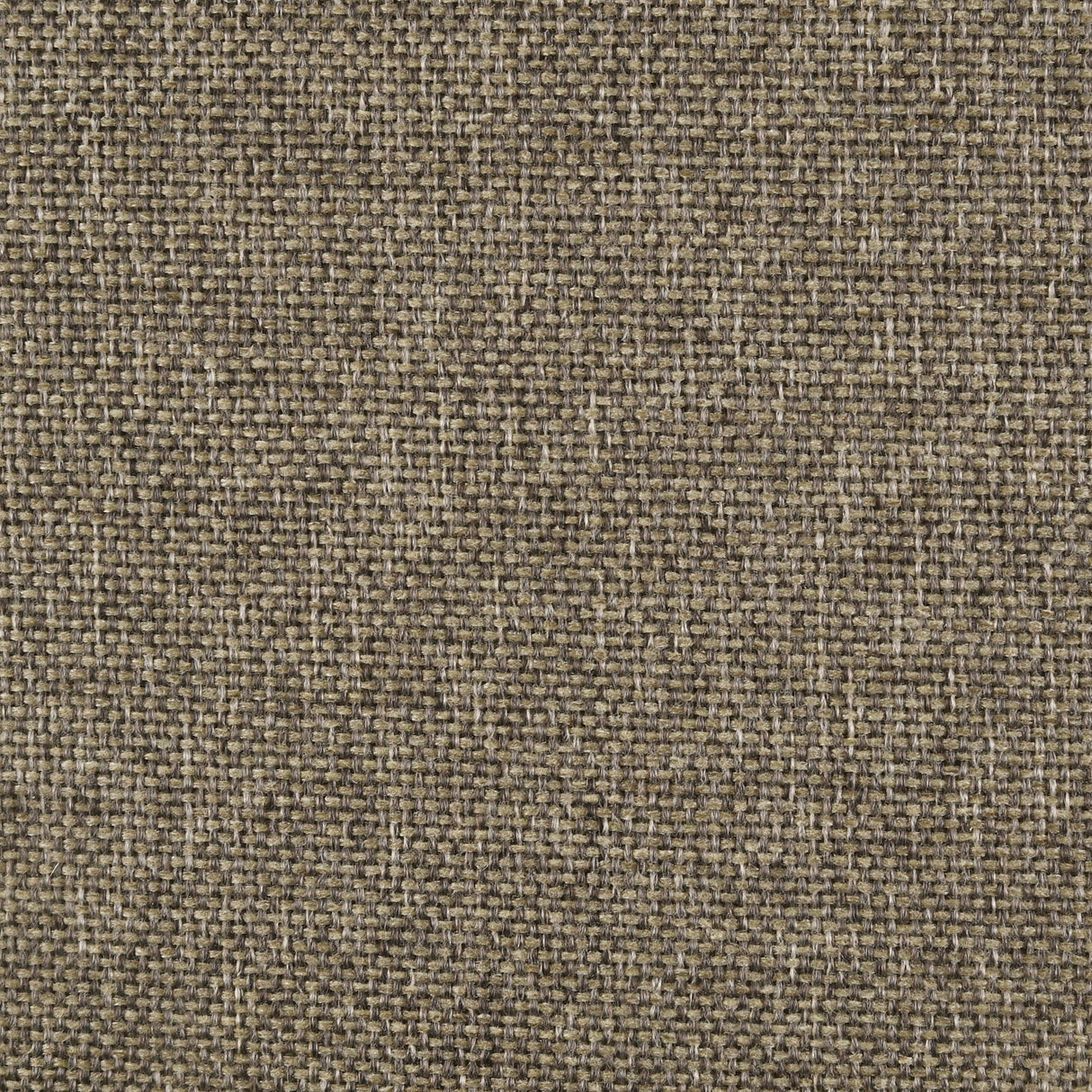 Wilkes Dark Cocoa Upholstered Full Bed by Coaster at Eve Furniture