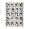 A Dogs Many Faces by Mercana Studio Hand-Embellished Framed Artwork Matted under Glass by Mercana at Eve Furniture