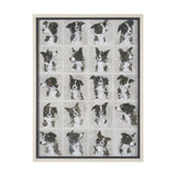 A Dogs Many Faces by Mercana Studio Hand-Embellished Framed Artwork Matted under Glass by Mercana at Eve Furniture