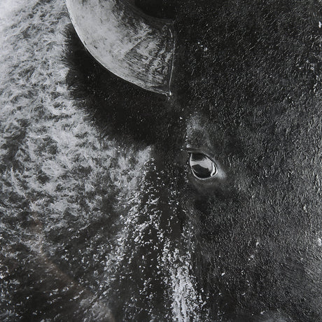 A Struggle by Mercana Studio a Hand Embellished Textured Framed Photo Art Print Matted under Glass by Mercana at Eve Furniture