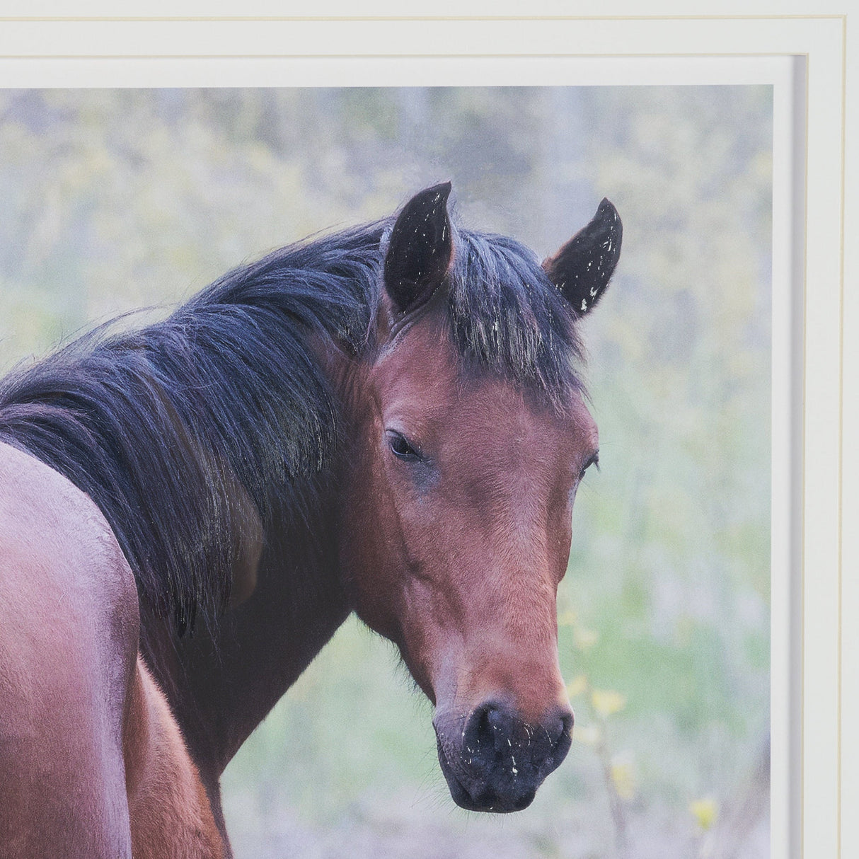 A Watchful Bond by Chad Mackay Hand Embelished Framed Art Print Matted under Glass by Mercana at Eve Furniture