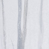 A Winter Day in Forest II by Mercana Studio Hand Embellished Framed Art Print Matted under Glass by Mercana at Eve Furniture