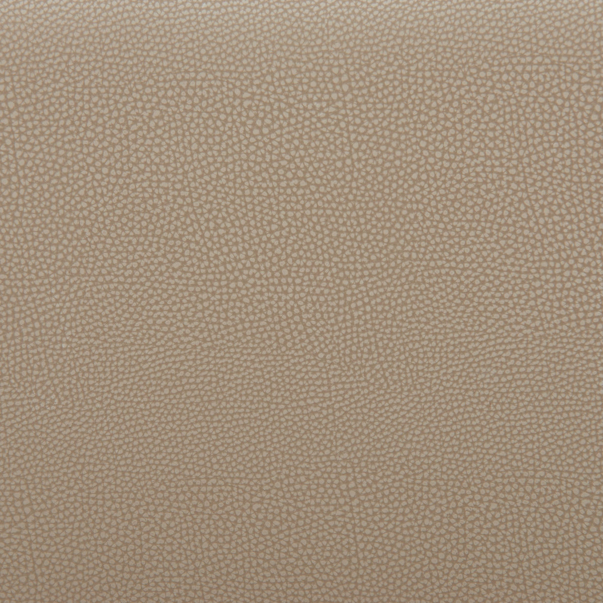 Divat Counter Stool Beige & Walnut - Image 6
