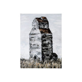 Abandoned Grain Elevator II by Mercana Studio a Hand Embellished Textured Canvas by Mercana at Eve Furniture