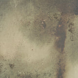 Aboreal Fade II by Mercana Studio Hand-Embellished Textured Framed Canvas Artwork by Mercana at Eve Furniture