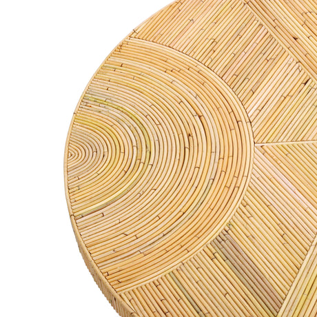 Acadia Rattan Coffee Table by TOV Furniture at Eve Furniture