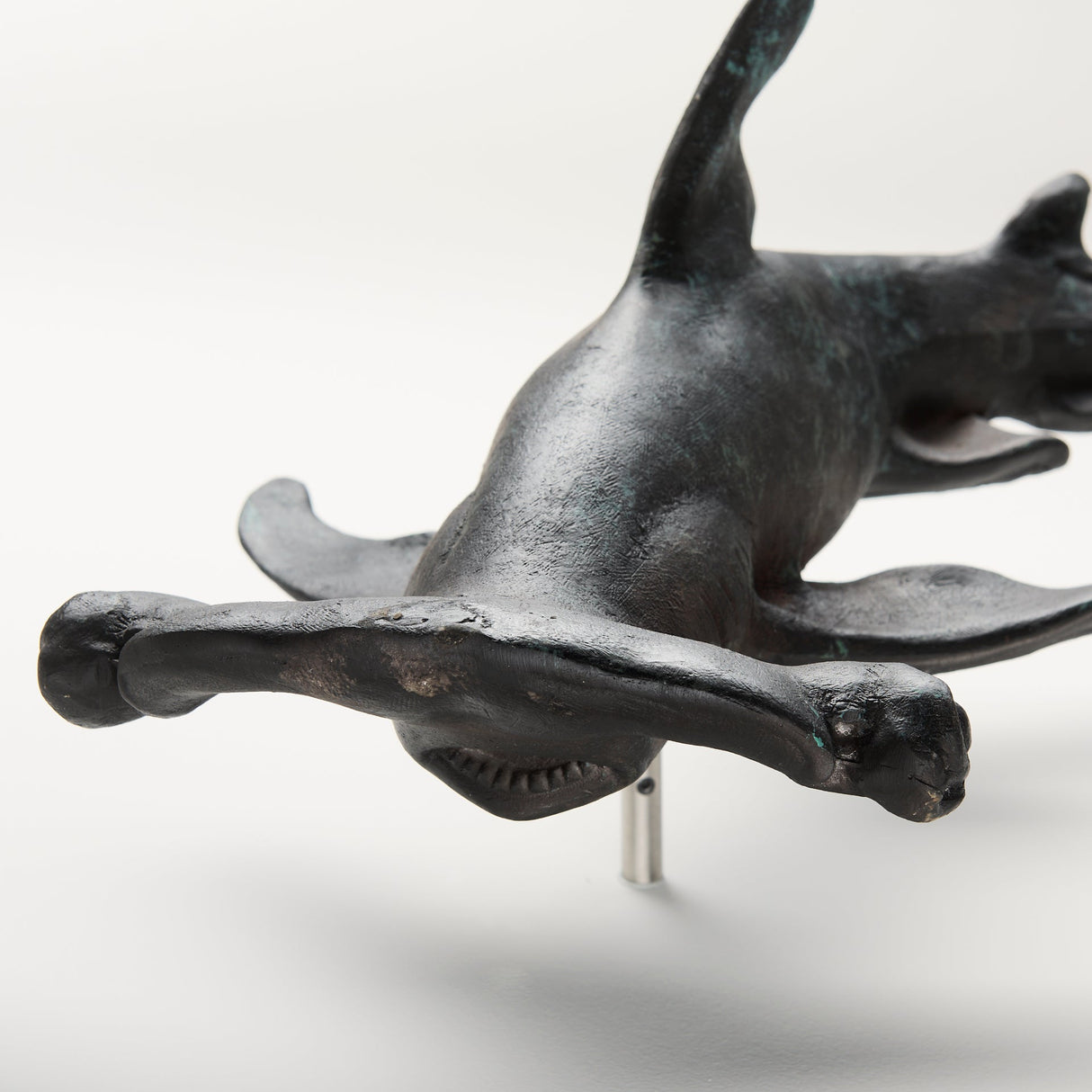 Acus Large Hammer Head Shark Wall Decor by Mercana at Eve Furniture