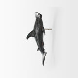 Acus Small Hammerhead Shark Resin Wall Decor by Mercana at Eve Furniture