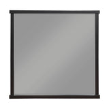Acworth Brownish Gray Mirror (Mirror Only)