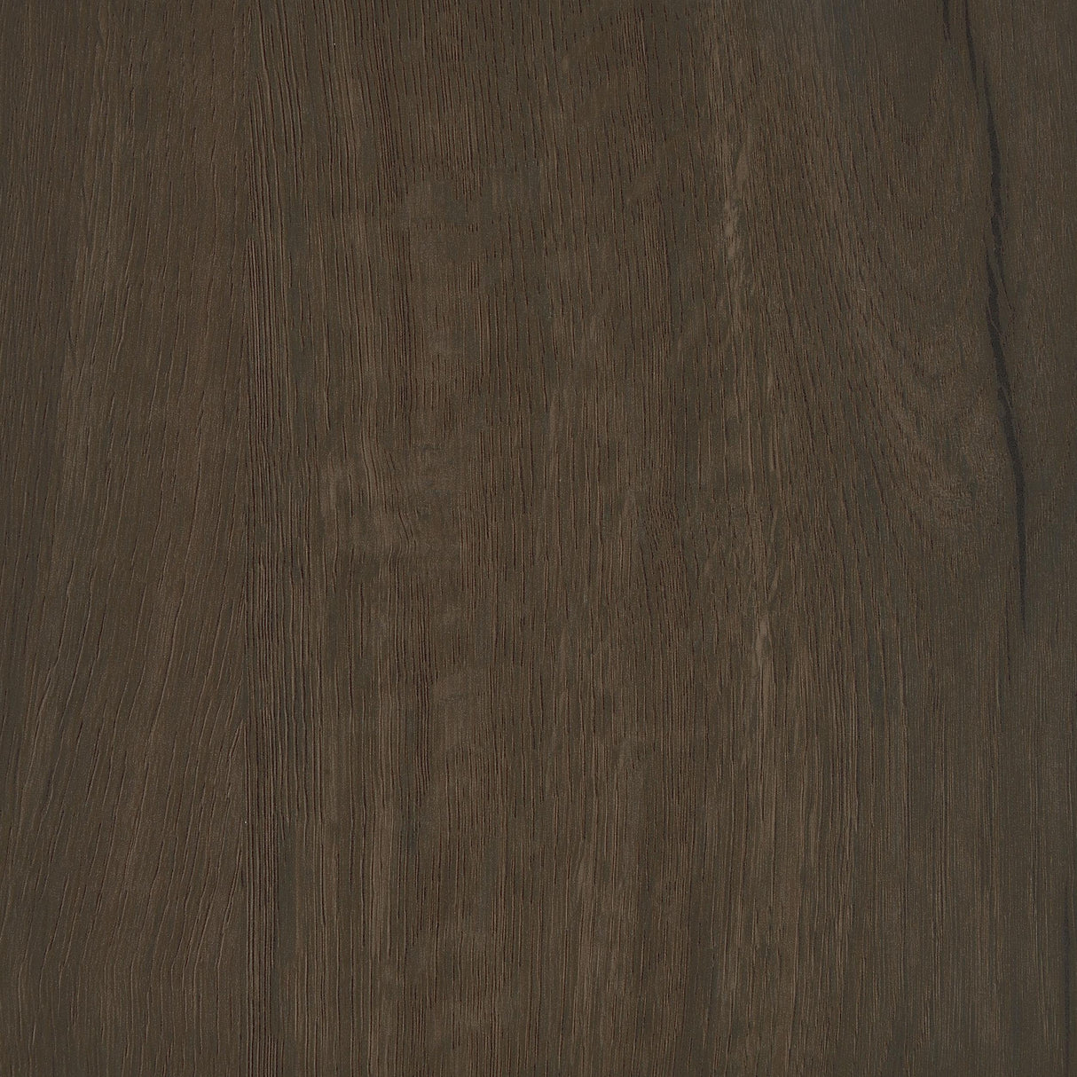 Addie Smoked Oak 2-Door Padded Entryway Shoe Storage by Coaster at Eve Furniture