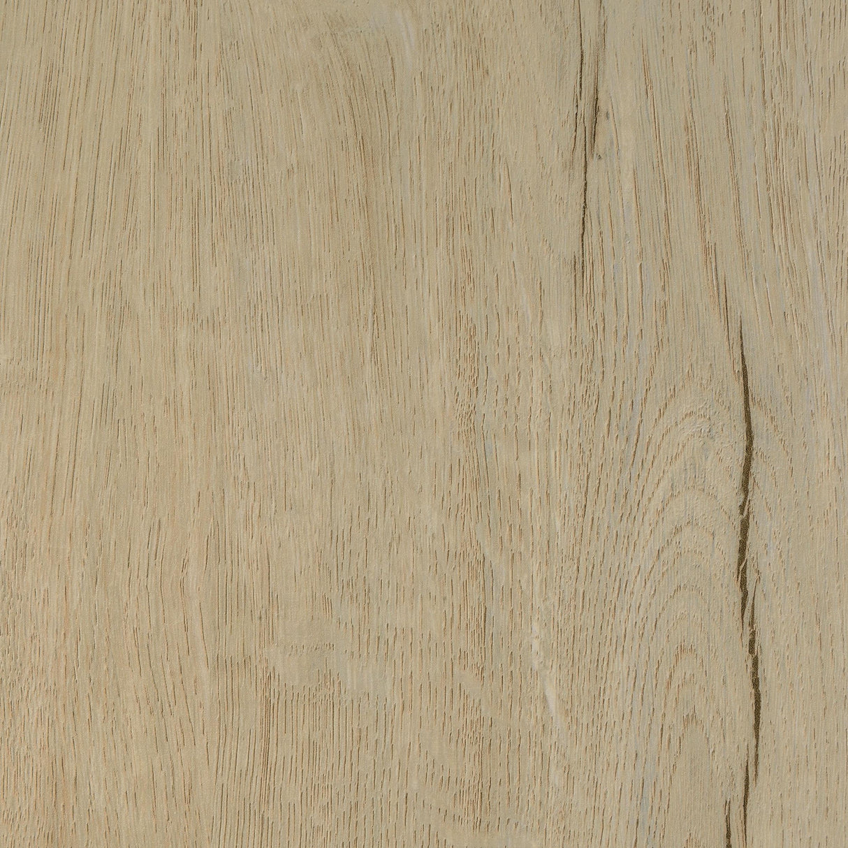 Addie White Oak 2-Door Padded Entryway Shoe Storage by Coaster at Eve Furniture