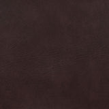 Adelaide Brown/Chrome Upholstered Bar Stool with Open Back by Coaster at Eve Furniture