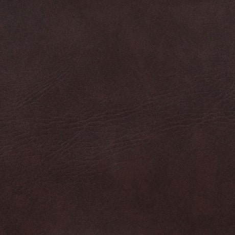 Adelaide Brown/Chrome Upholstered Bar Stool with Open Back by Coaster at Eve Furniture