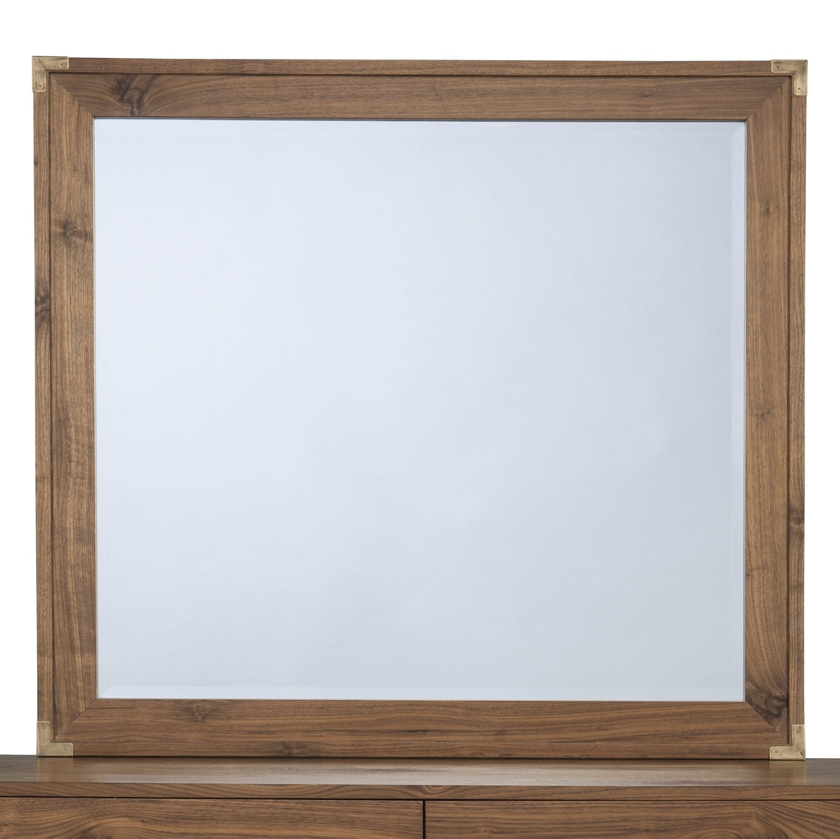 Adler Beveled Glass Mirror in Natural Walnut by Modus Furniture at Eve Furniture