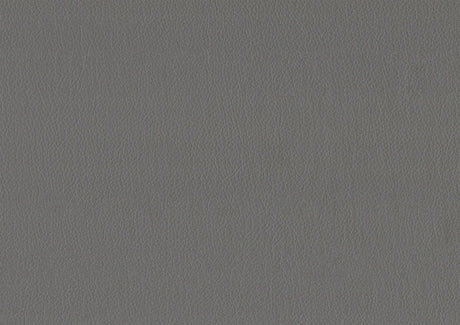 Adra Gray Twin Daybed with Trundle by Homelegance at Eve Furniture