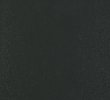 Afshan Square Padded Cushion Upholstered Vanity Stool by Coaster at Eve Furniture