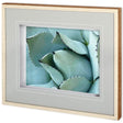 Agave Detail I by Alison Jerry a Framed Photo Art Print Matted under Glass by Mercana at Eve Furniture