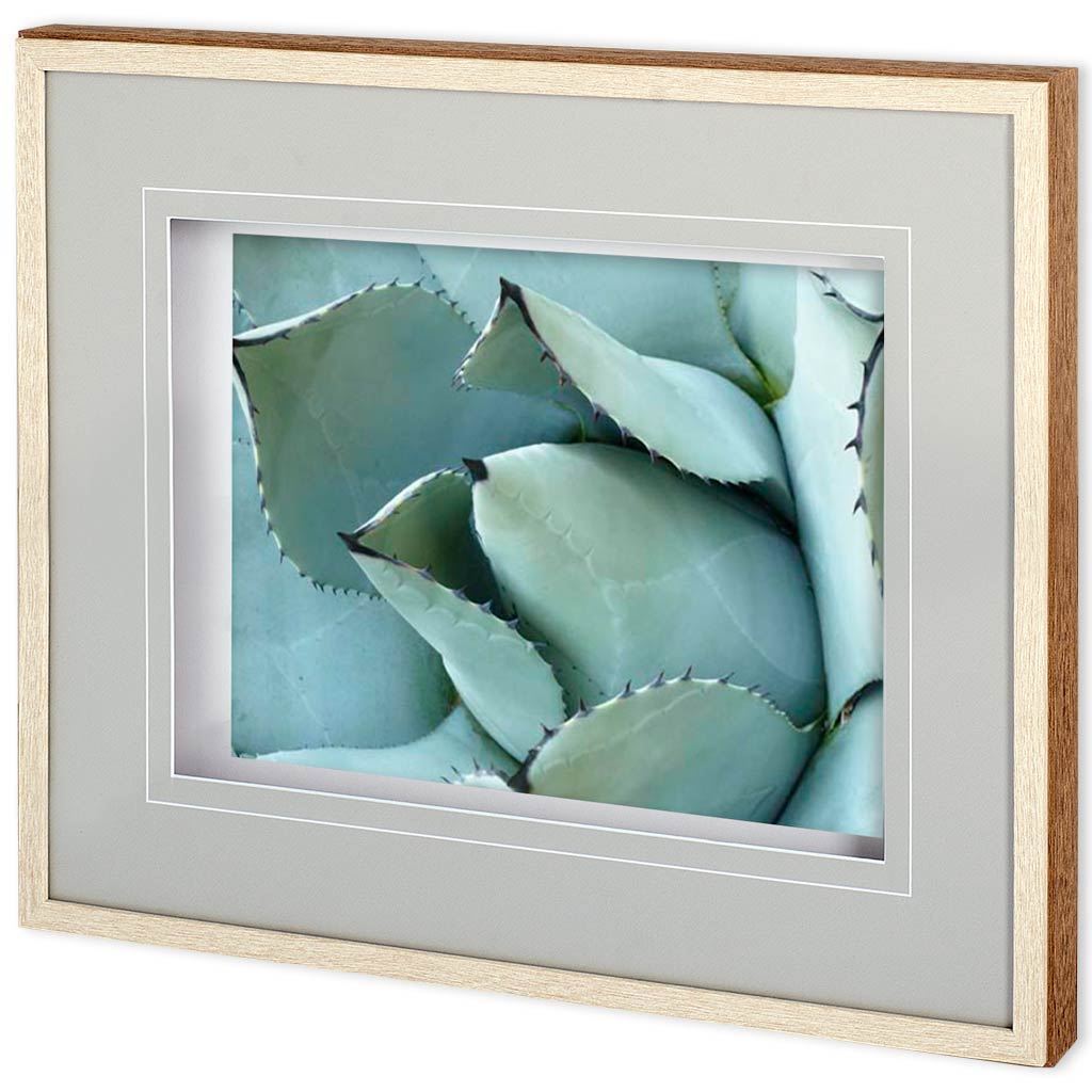 Agave Detail I by Alison Jerry a Framed Photo Art Print Matted under Glass by Mercana at Eve Furniture