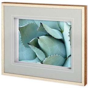 Agave Detail I by Alison Jerry a Framed Photo Art Print Matted under Glass by Mercana at Eve Furniture