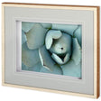 Agave Detail II by Alison Jerry a Framed Photo Art Print Matted under Glass by Mercana at Eve Furniture