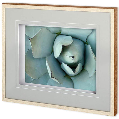 Agave Detail II by Alison Jerry a Framed Photo Art Print Matted under Glass by Mercana at Eve Furniture