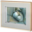 Agave Detail III by Alison Jerry a Framed Photo Art Print Matted under Glass by Mercana at Eve Furniture