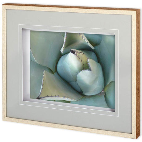 Agave Detail III by Alison Jerry a Framed Photo Art Print Matted under Glass by Mercana at Eve Furniture