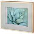 Agave Detail IV by Alison Jerry a Framed Photo Art Print Matted under Glass by Mercana at Eve Furniture