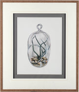 Air Plant 1 by Harvey, Brenna a Framed Art Print Matted under Glass by Mercana at Eve Furniture