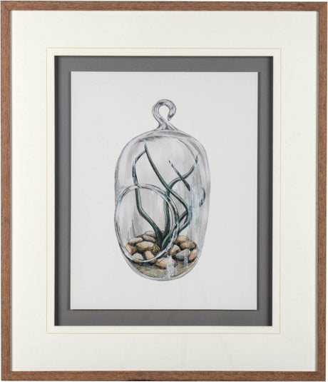 Air Plant 1 by Harvey, Brenna a Framed Art Print Matted under Glass by Mercana at Eve Furniture