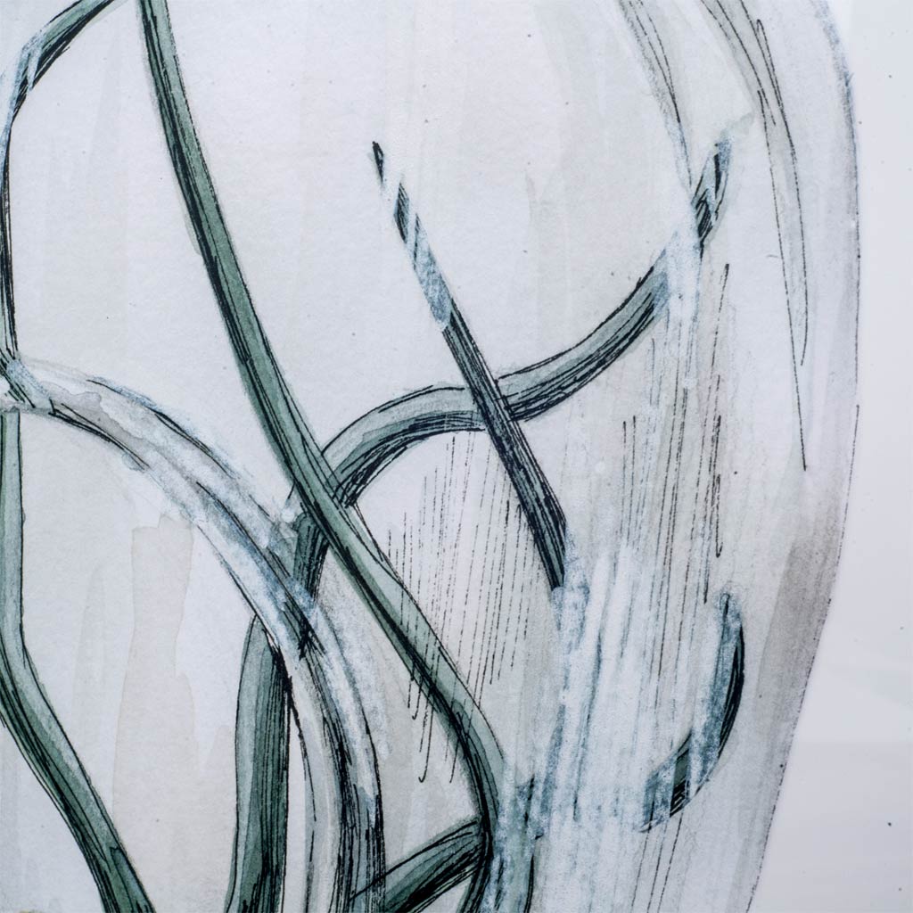 Air Plant 1 by Harvey, Brenna a Framed Art Print Matted under Glass by Mercana at Eve Furniture