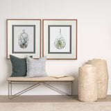 Air Plant 1 by Harvey, Brenna a Framed Art Print Matted under Glass by Mercana at Eve Furniture