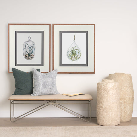 Air Plant 1 by Harvey, Brenna a Framed Art Print Matted under Glass by Mercana at Eve Furniture