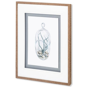 Air Plant 1 by Harvey, Brenna a Framed Art Print Matted under Glass by Mercana at Eve Furniture