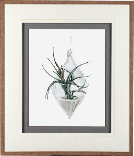 Air Plant 2 by Harvey, Brenna a Framed Art Print Matted under Glass by Mercana at Eve Furniture
