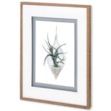 Air Plant 2 by Harvey, Brenna a Framed Art Print Matted under Glass by Mercana at Eve Furniture
