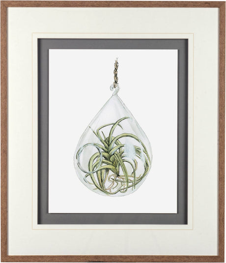 Air Plant 3 by Harvey, Brenna a Framed Art Print Matted under Glass by Mercana at Eve Furniture