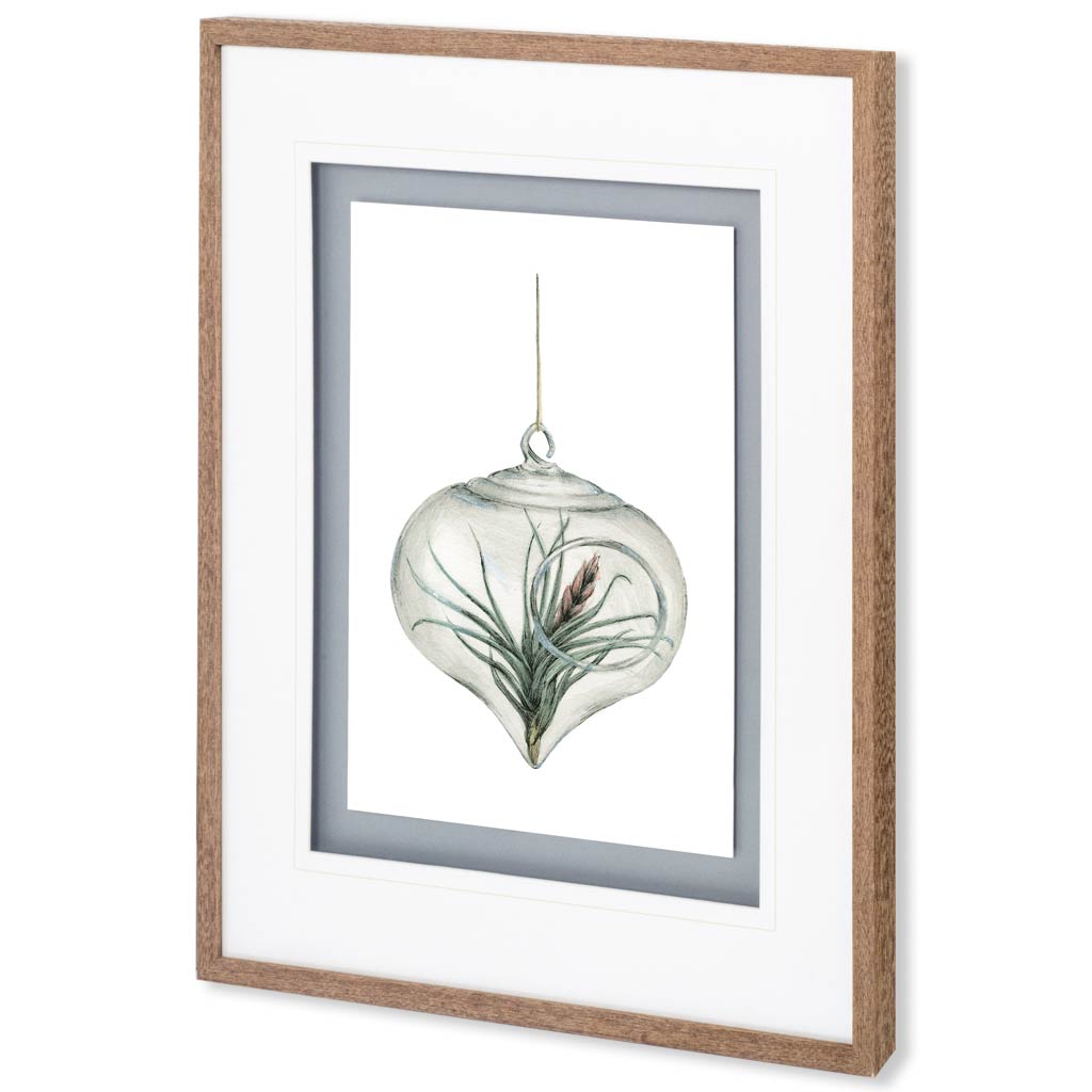 Air Plant 4 by Harvey, Brenna a Framed Art Print Matted under Glass by Mercana at Eve Furniture