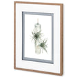 Air Plant 5 by Harvey, Brenna a Framed Art Print Matted under Glass by Mercana at Eve Furniture