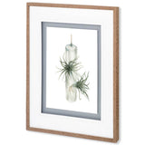 Air Plant 5 by Harvey, Brenna a Framed Art Print Matted under Glass by Mercana at Eve Furniture