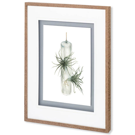 Air Plant 5 by Harvey, Brenna a Framed Art Print Matted under Glass by Mercana at Eve Furniture