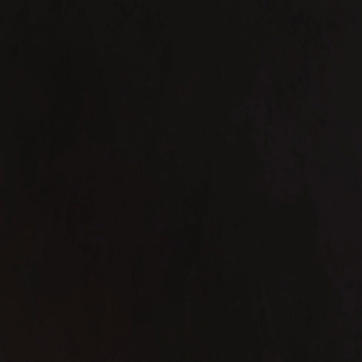 Alana Upholstered Tufted Arm Chair with Nailhead Trim by Coaster at Eve Furniture