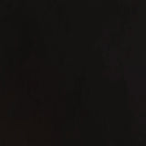 Alana Upholstered Tufted Arm Chair with Nailhead Trim by Coaster at Eve Furniture